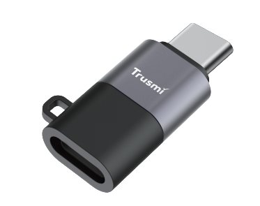 Type-C Male to L Female to Audio Charging Adapter Grey Gun color